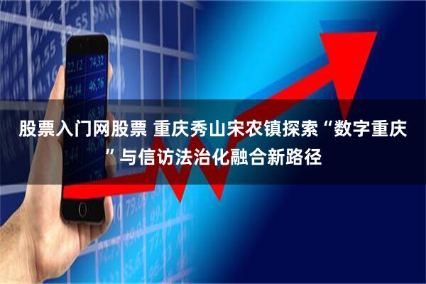 股票入门网股票 重庆秀山宋农镇探索“数字重庆”与信访法治化融合新路径