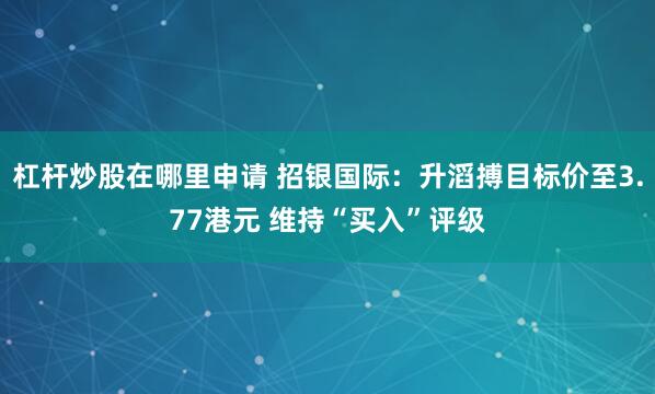 杠杆炒股在哪里申请 招银国际：升滔搏目标价至3.77港元 维持“买入”评级
