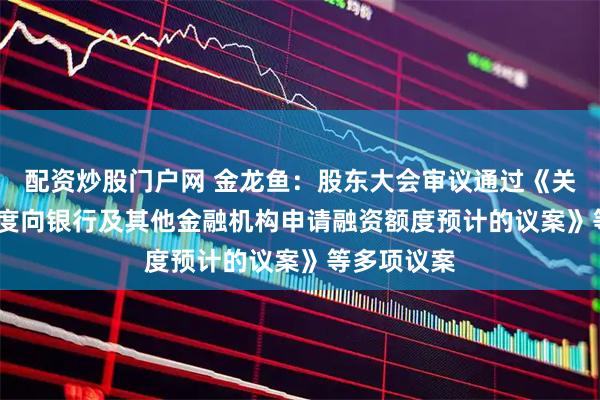 配资炒股门户网 金龙鱼：股东大会审议通过《关于2026年度向银行及其他金融机构申请融资额度预计的议案》等多项议案
